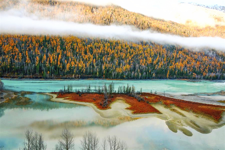 新疆阿勒泰喀納斯臥龍灣（圖片來源：視覺中國）