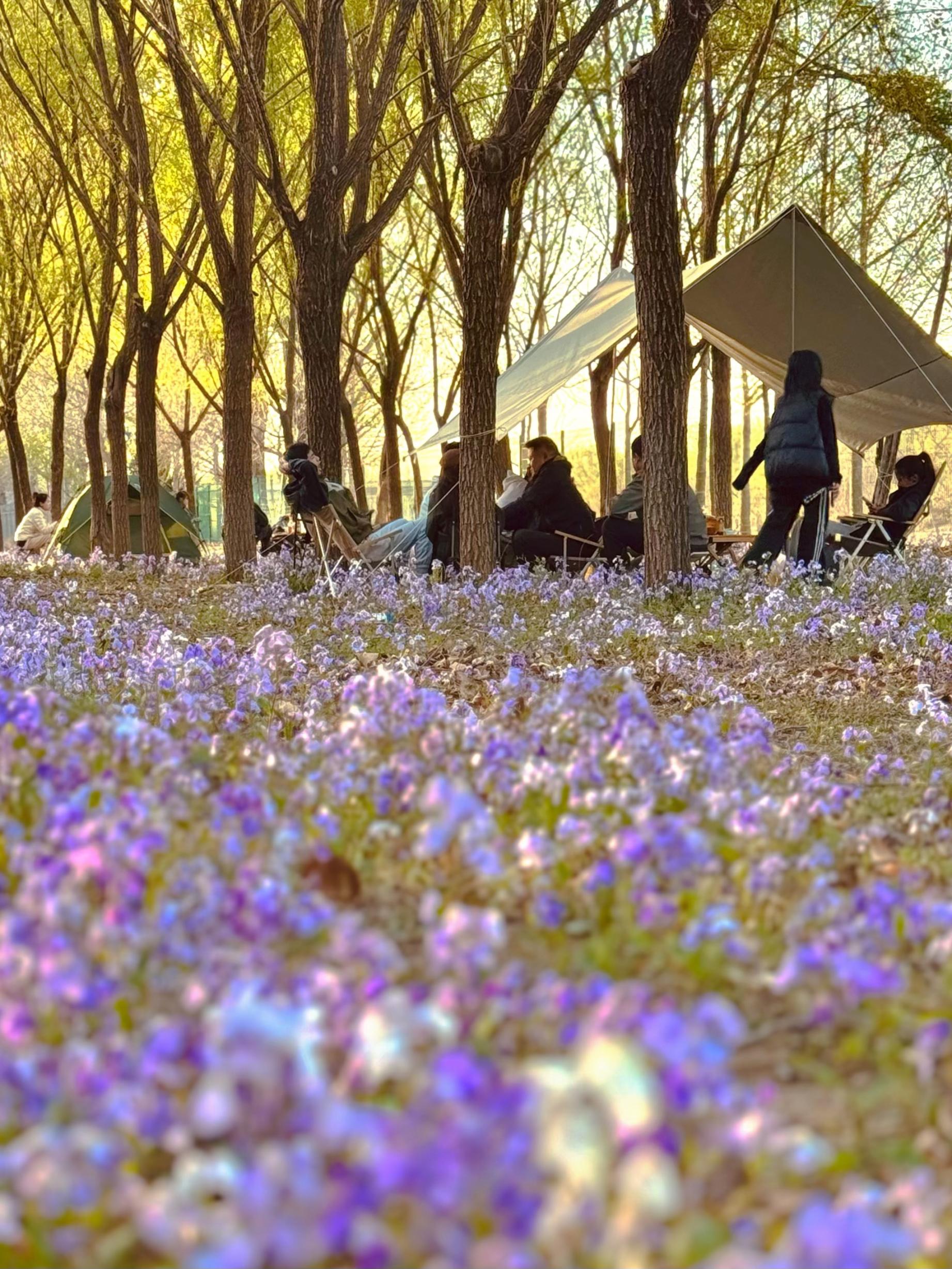 清明假期期間，范女士一家在北京溫榆河邊露營(yíng)。受訪者供圖