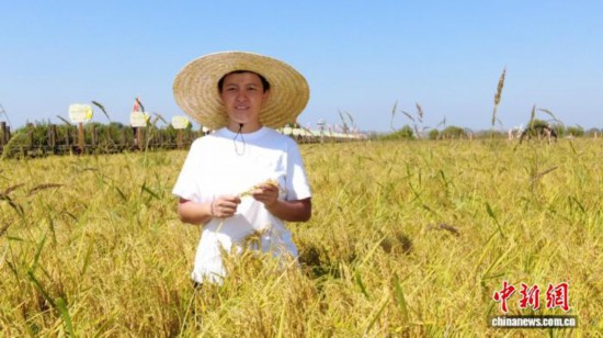 全國(guó)人大代表、寧安市渤海鎮(zhèn)上官地村黨支部書記、村委會(huì)主任陳雨佳在稻田中。 受訪者供圖