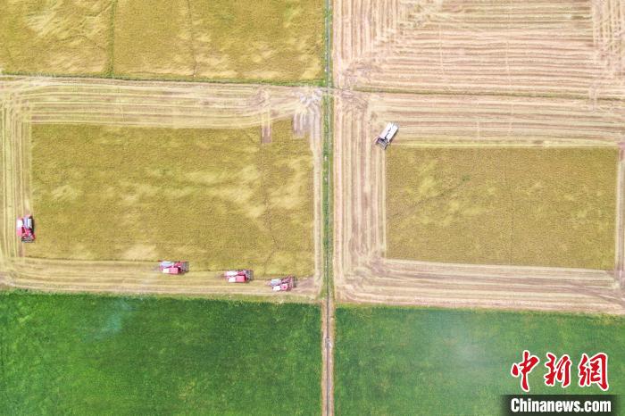 （高質量發(fā)展調研行）科技賦能“江南糧倉”農業(yè)“智慧”轉型